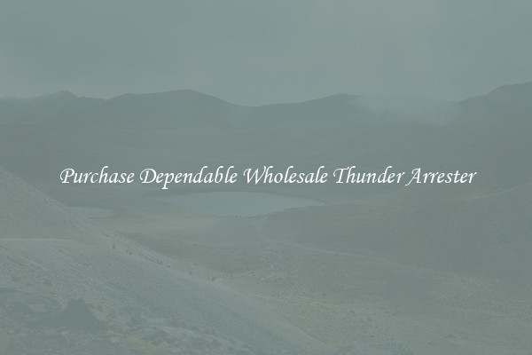 Purchase Dependable Wholesale Thunder Arrester