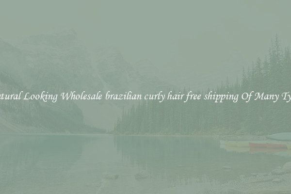Natural Looking Wholesale brazilian curly hair free shipping Of Many Types