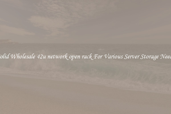 Solid Wholesale 42u network open rack For Various Server Storage Needs