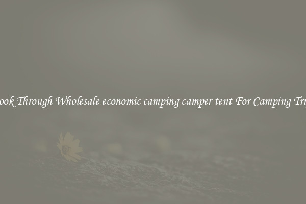 Look Through Wholesale economic camping camper tent For Camping Trips