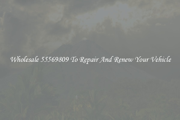Wholesale 55569809 To Repair And Renew Your Vehicle