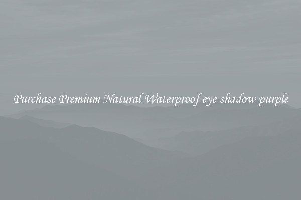 Purchase Premium Natural Waterproof eye shadow purple