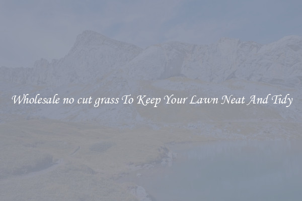 Wholesale no cut grass To Keep Your Lawn Neat And Tidy