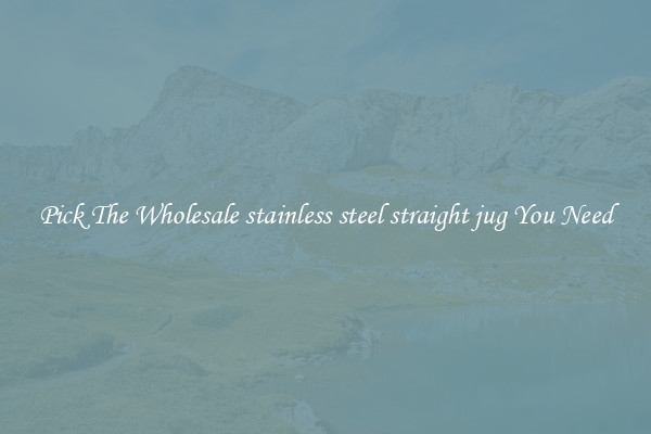 Pick The Wholesale stainless steel straight jug You Need