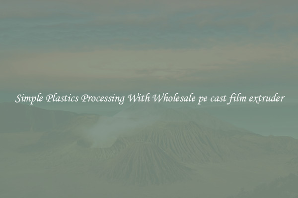 Simple Plastics Processing With Wholesale pe cast film extruder