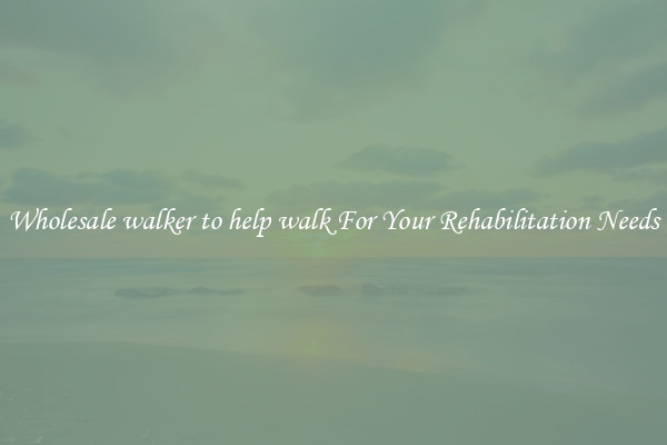 Wholesale walker to help walk For Your Rehabilitation Needs