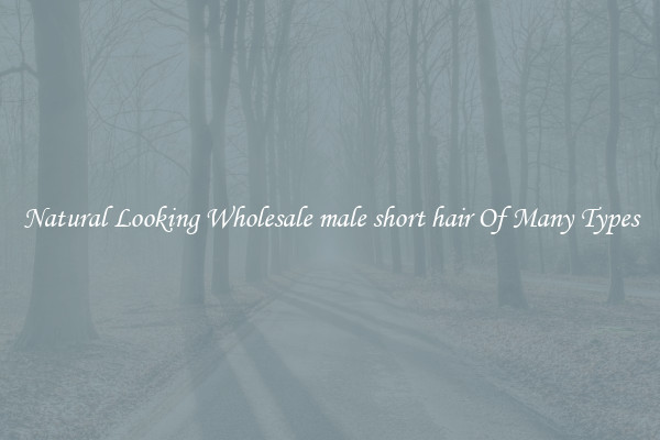 Natural Looking Wholesale male short hair Of Many Types