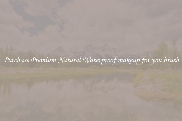 Purchase Premium Natural Waterproof makeup for you brush