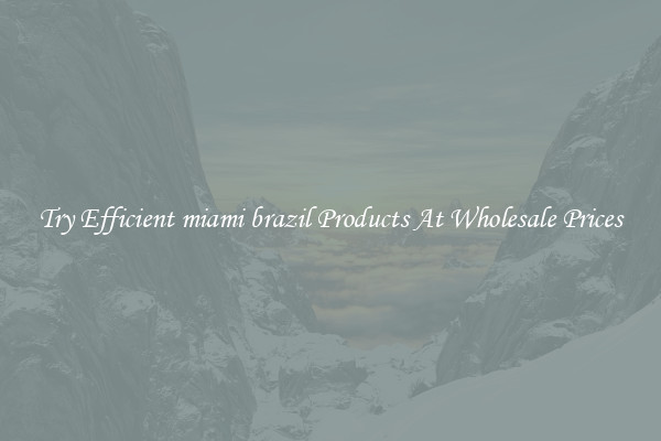 Try Efficient miami brazil Products At Wholesale Prices