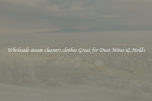 Wholesale steam cleaners clothes Great for Dust Mites & Molds