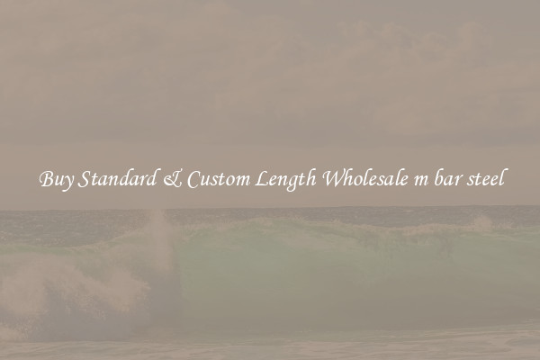 Buy Standard & Custom Length Wholesale m bar steel