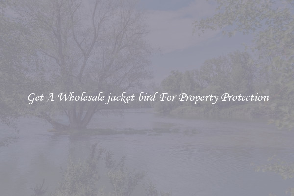 Get A Wholesale jacket bird For Property Protection