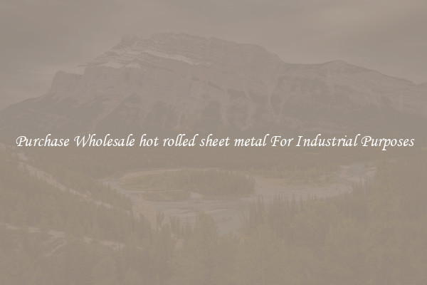 Purchase Wholesale hot rolled sheet metal For Industrial Purposes