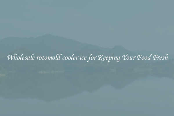 Wholesale rotomold cooler ice for Keeping Your Food Fresh